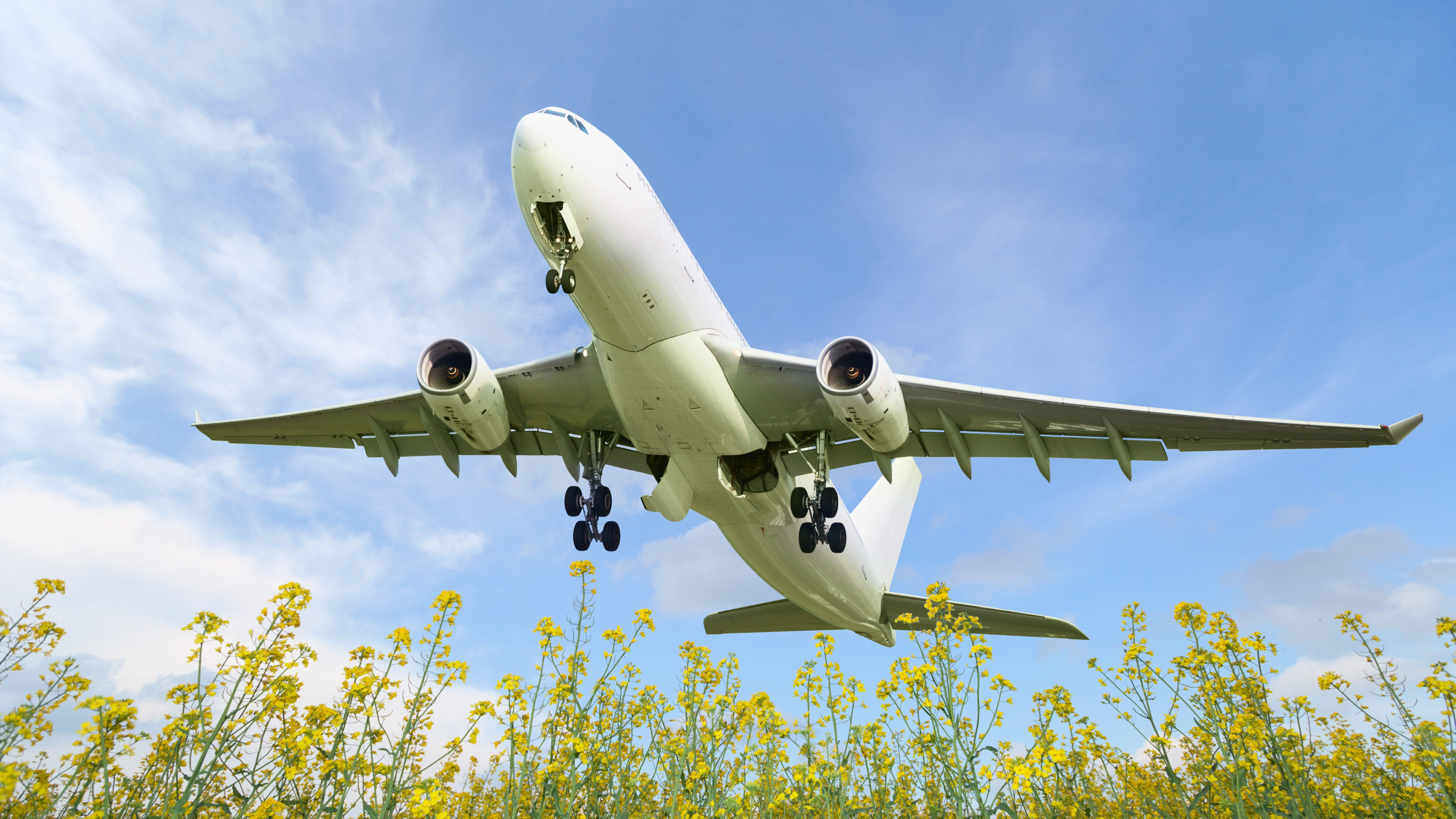 Aviation unions welcome global agreement on net-zero carbon emissions by 2050